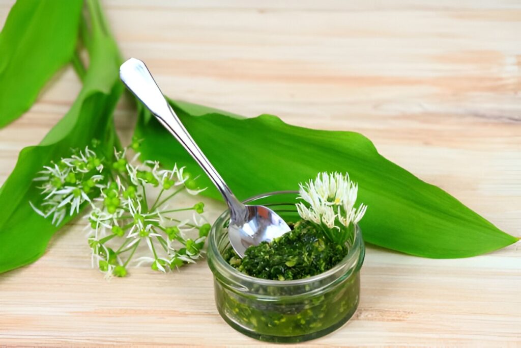 Pesto d'ail des ours : Recette facile pour le printemps