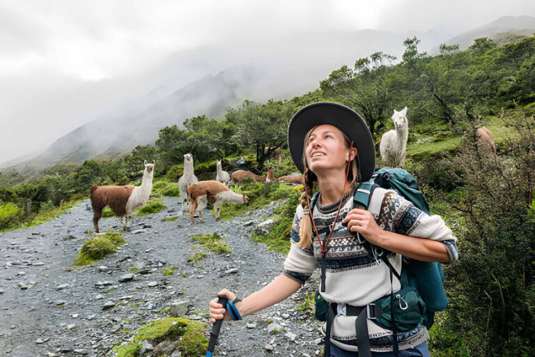Randonnée Lajma avec lamas en France et Bolivie : itinéraires, conseils et tarifs